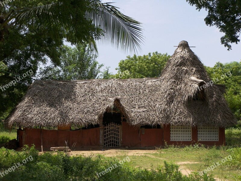 Hut Nature Architecture India Summer