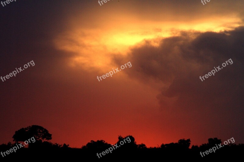 Lamai Serengeti Serengeti Safari Sunset Africa