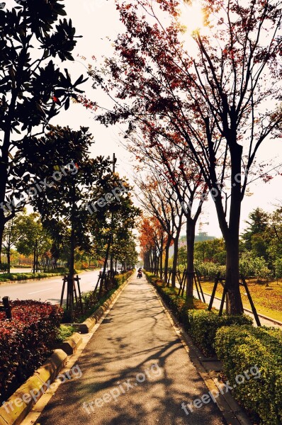 Autumn Time Shanghai Free Photos