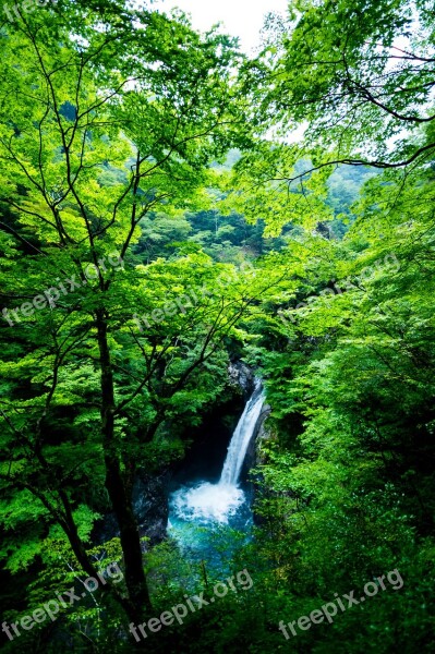 Landscape Waterfall Water Forest Japan