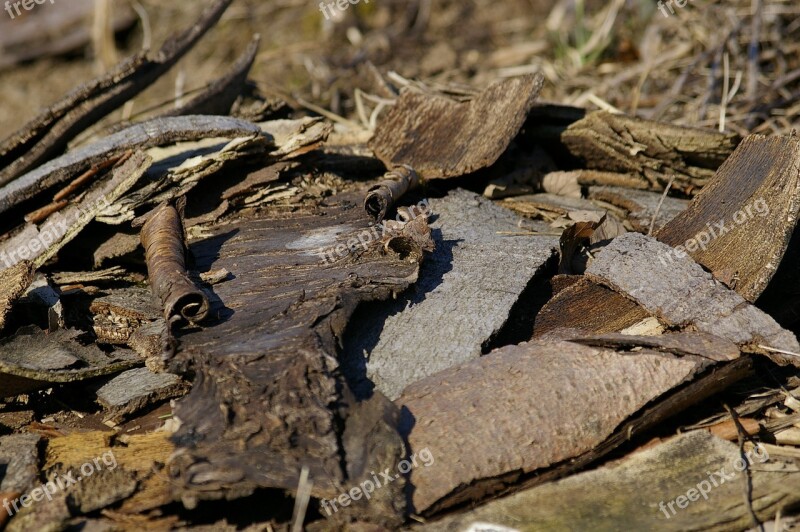 Wood Pile Chaos Bark Free Photos