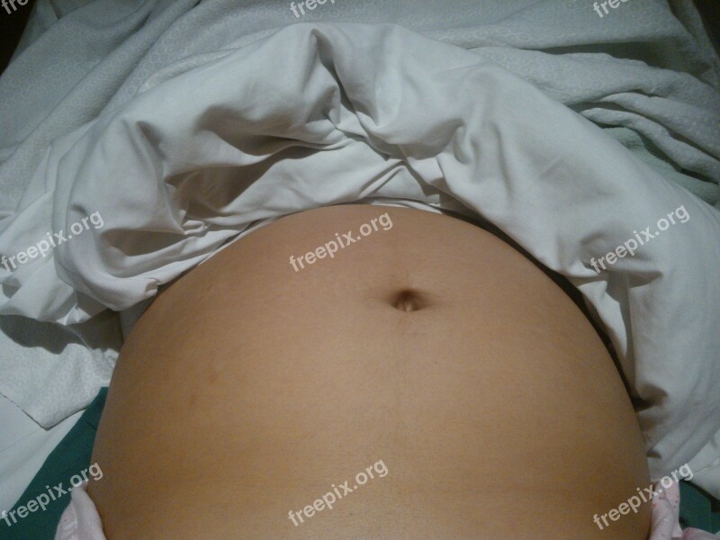 Barriga Panza Pregnancy Women Maternal