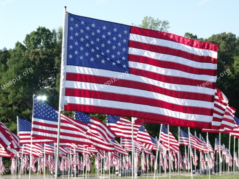 Patriotic Flags American Flag Background Free Photos