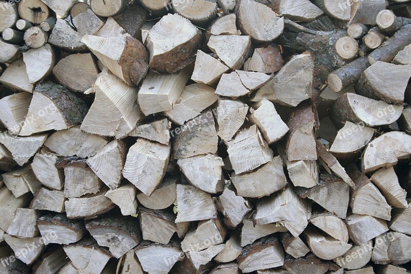 Fuel Tree Firewood Texture Nature