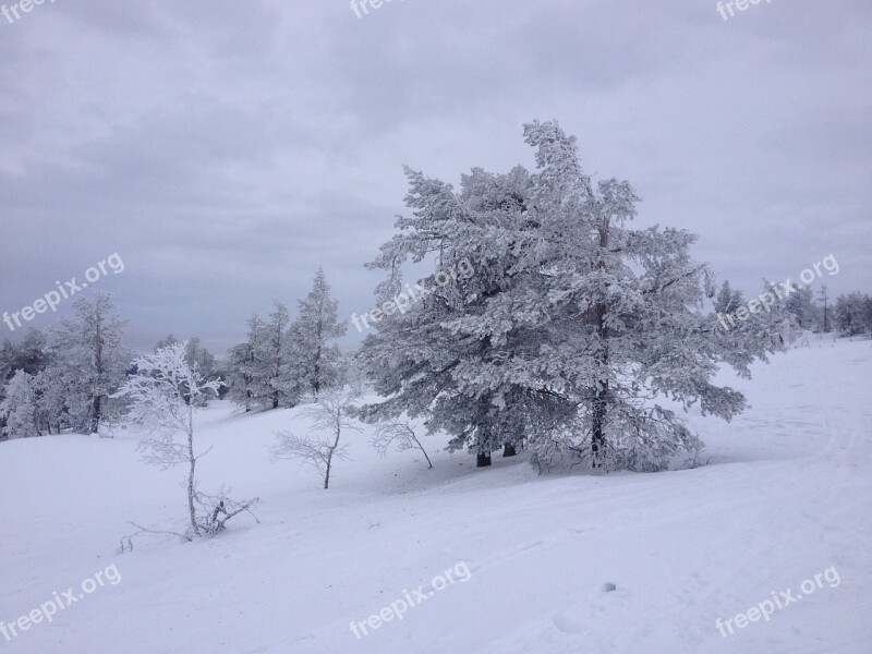 Ylläs Lapland Snow Free Photos