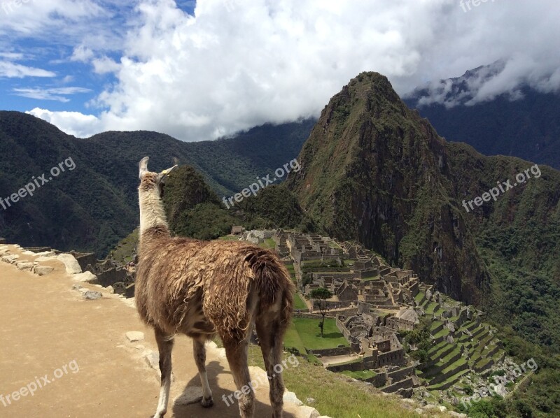 Macchu Pichu Flame Peru Free Photos