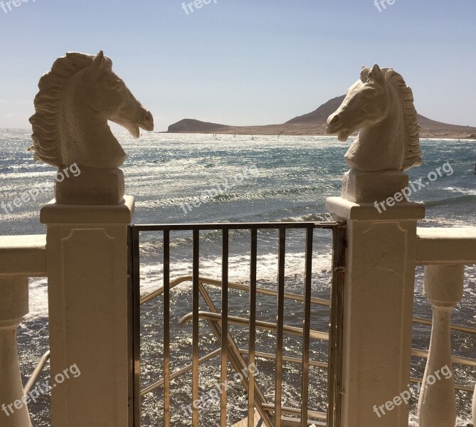 Horses Horse Heads Sea View Free Photos