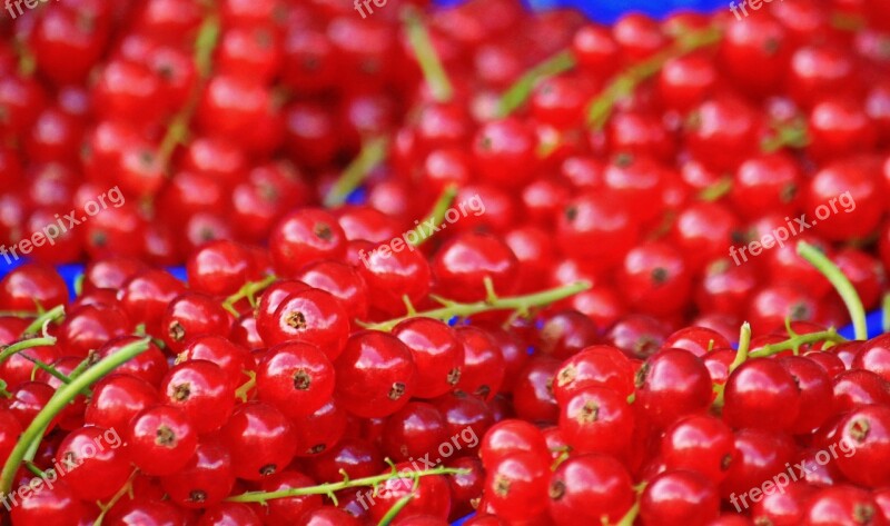 Currants Red Currants Fruit Soft Fruit Berries