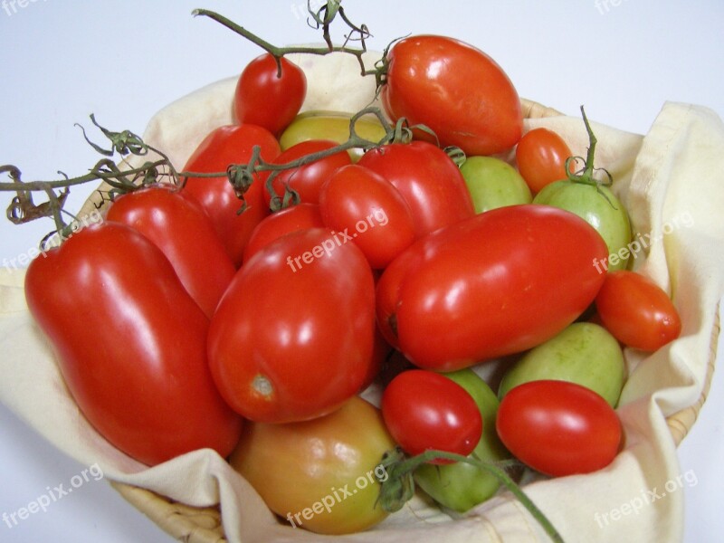 Tomatoes Tomato Crop Red Roma Tomato Plum Tomato