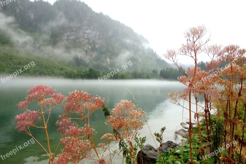 Lake Bergsee Nature Alpine Lake View