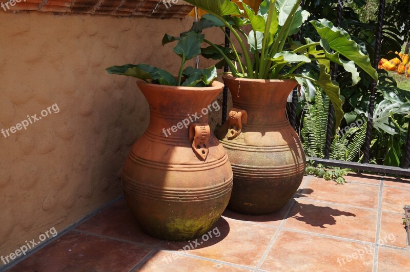 Mud Pots Plants Garden Estate