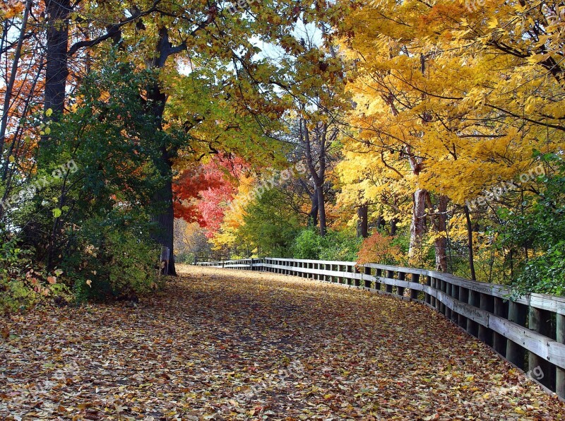 Appleton Wi Telulah Park Hike Autumn Color