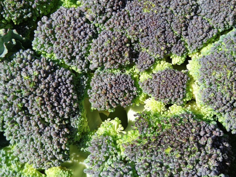 Broccoli Vegetables Food Eating Plant