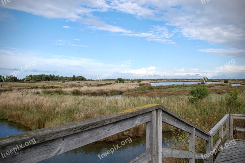 Marsh Saline Water Island Of Oleron Oléron