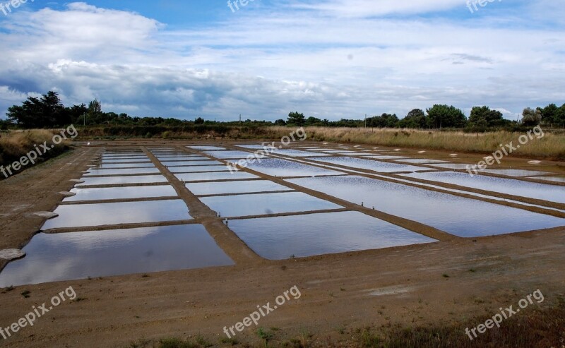 Marsh Saline Water Island Of Oleron Oléron