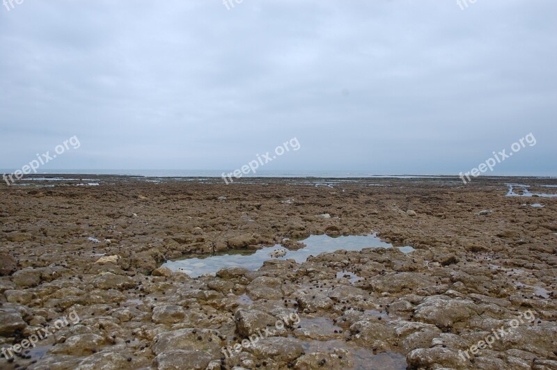 Island Of Oleron Oléron France Sea Island