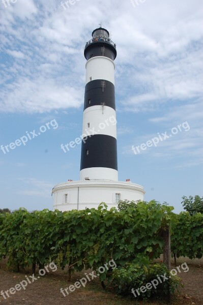 Island Of Oleron Oléron France Sea Island