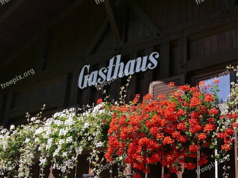 Inn Balcony Flowers Geranium Flower Boxes