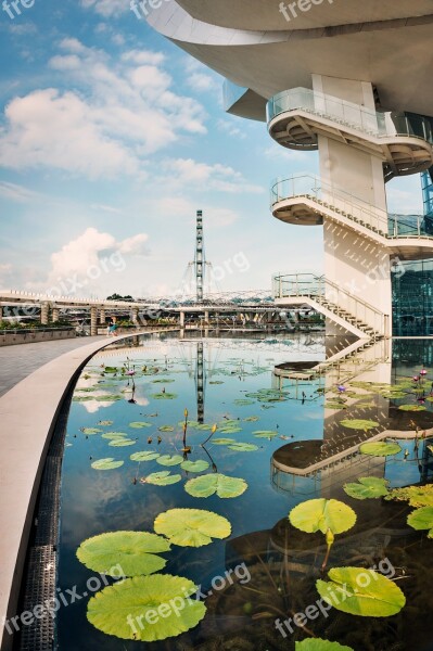 Architecture Skyscraper Stairs Mbs Landscape