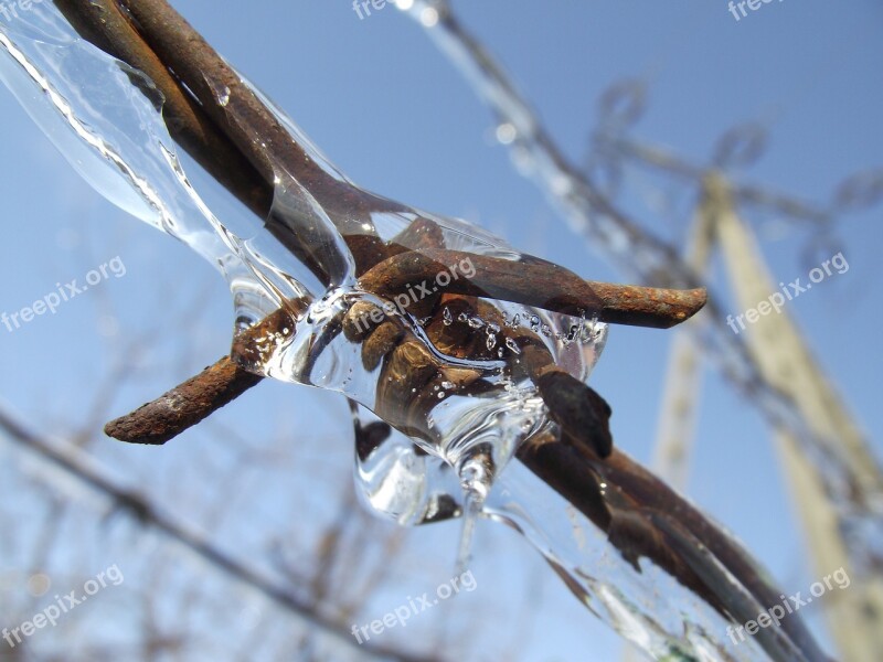 Barbed Wire Ice Winter Snow Frost