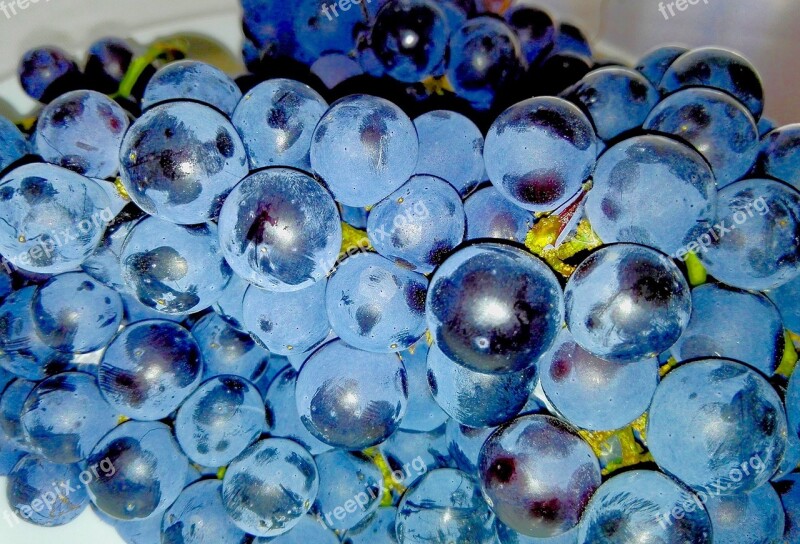 Grapes Fruit Food Dish Free Photos