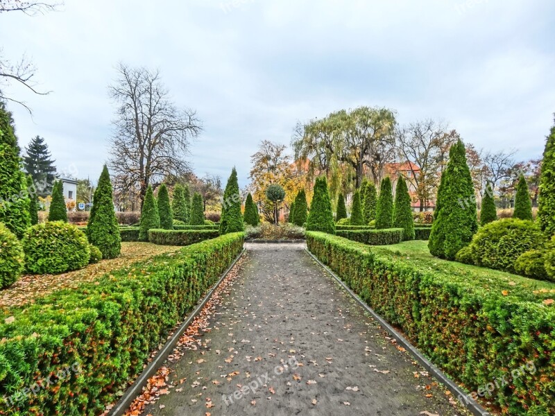 Turwid Square Bydgoszcz Park Garden Plants