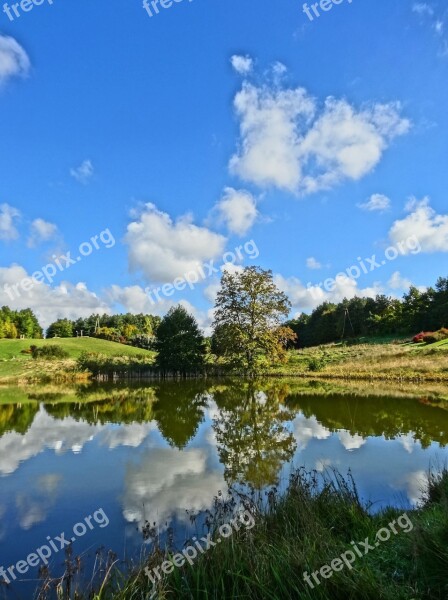 Bydgoszcz Botanical Garden Lake Pond Water