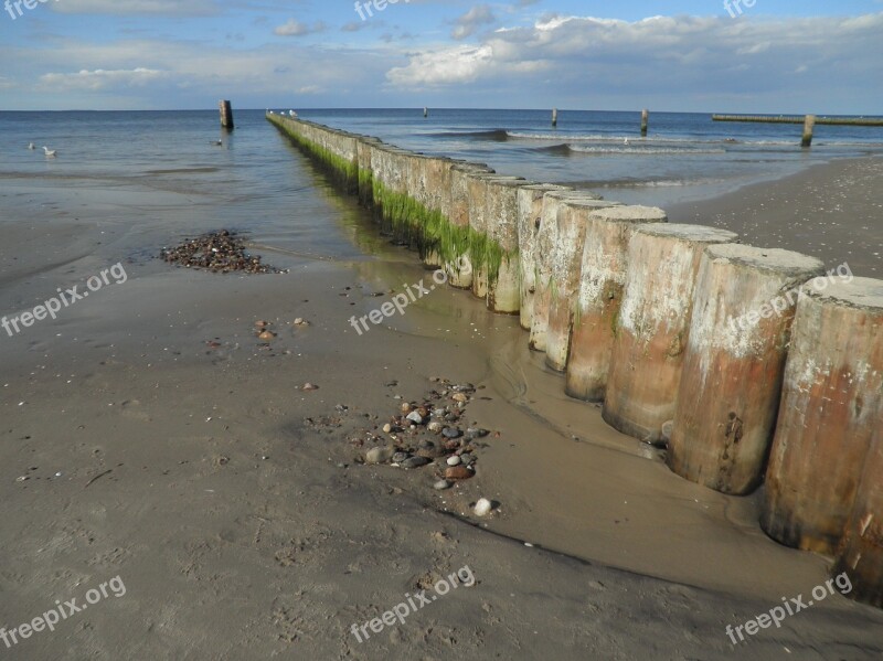 Groynes Baltic Sea Shallow Water Overgrown Algae Beach