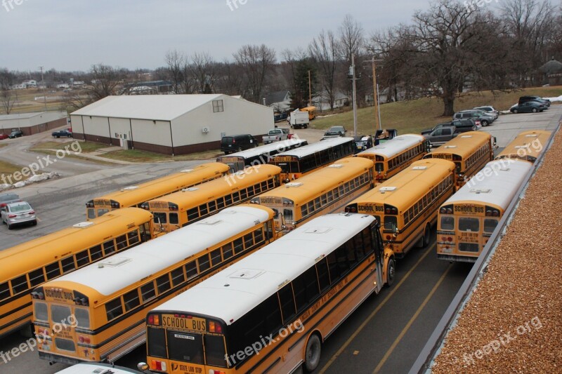 School Bus School Bus Education Transportation