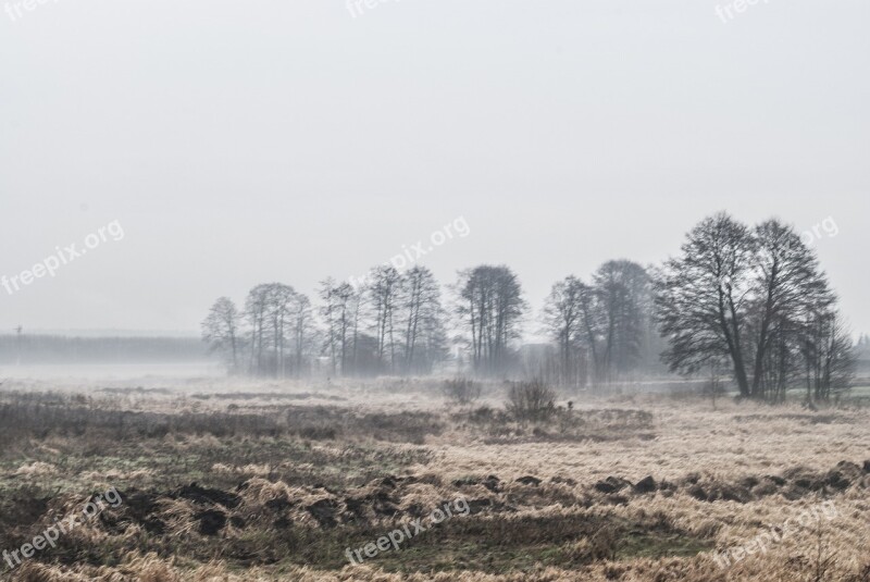 Morning The Fog Rosa Winter Meadow