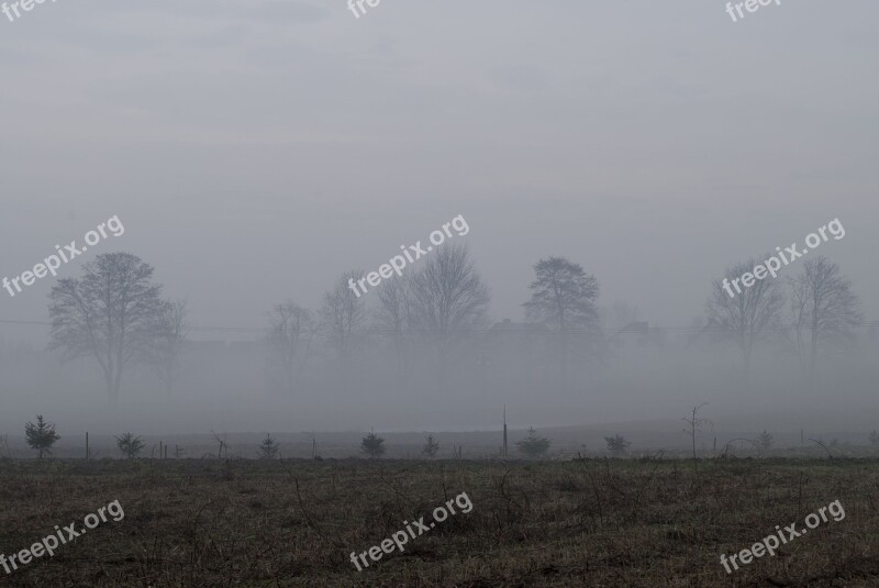 The Fog Field Sky Meadow Morning