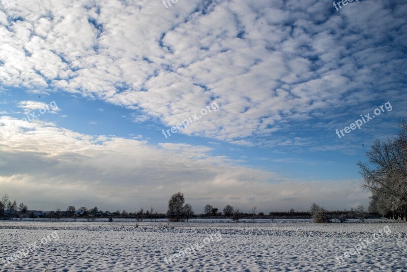 Winter Snow Sky Tree Biel