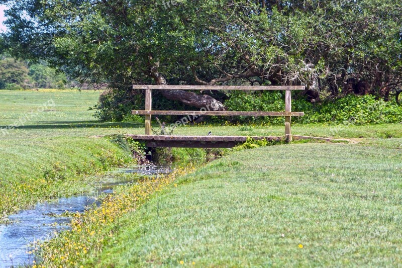 Bridge Wooden Bridge Wood Wooden Landscape