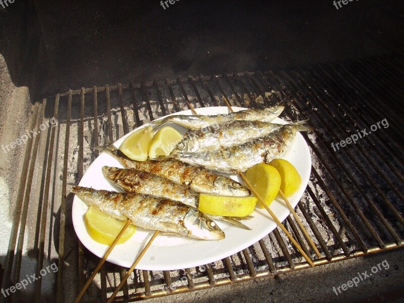 Sardines Sardinas Fish Seafish Mediterranean