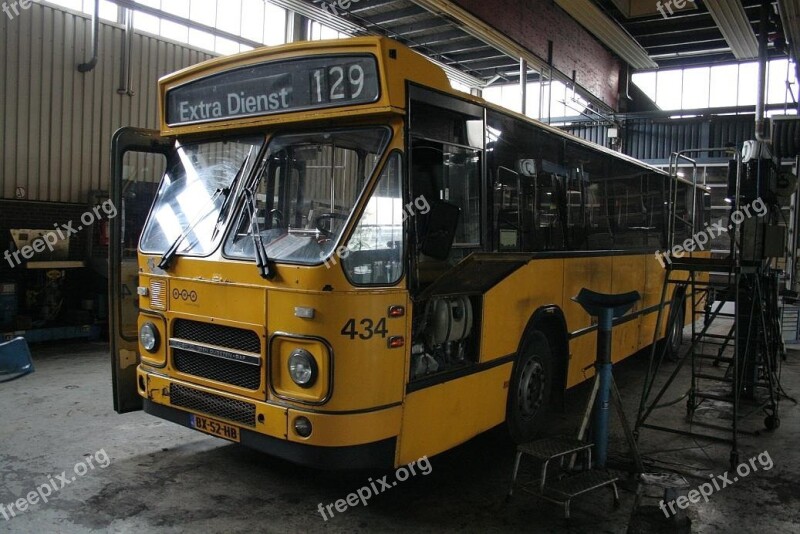 Bus Netherlands Transport Public Urban