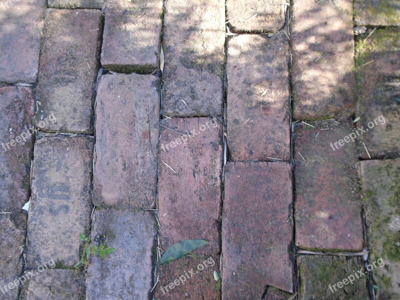 Brick Pavement Old Region Garden