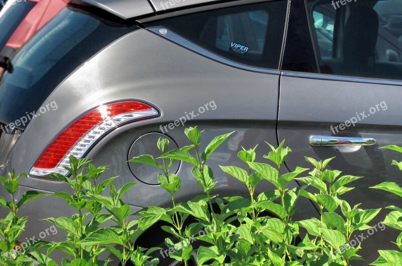 Car Nature Ecology Ecosystem Plant