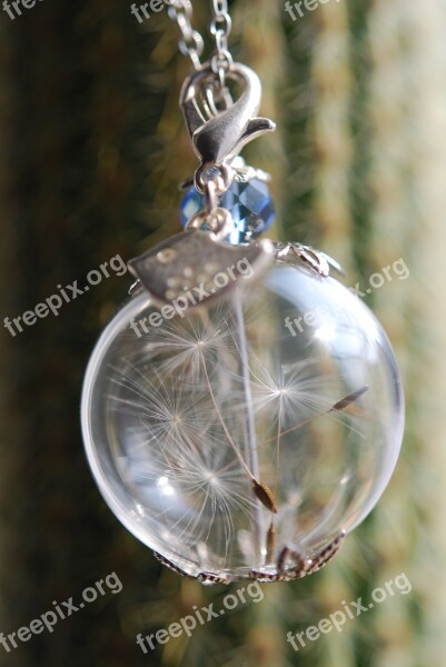 Jewellery Trailers Dandelion Seeds Free Photos