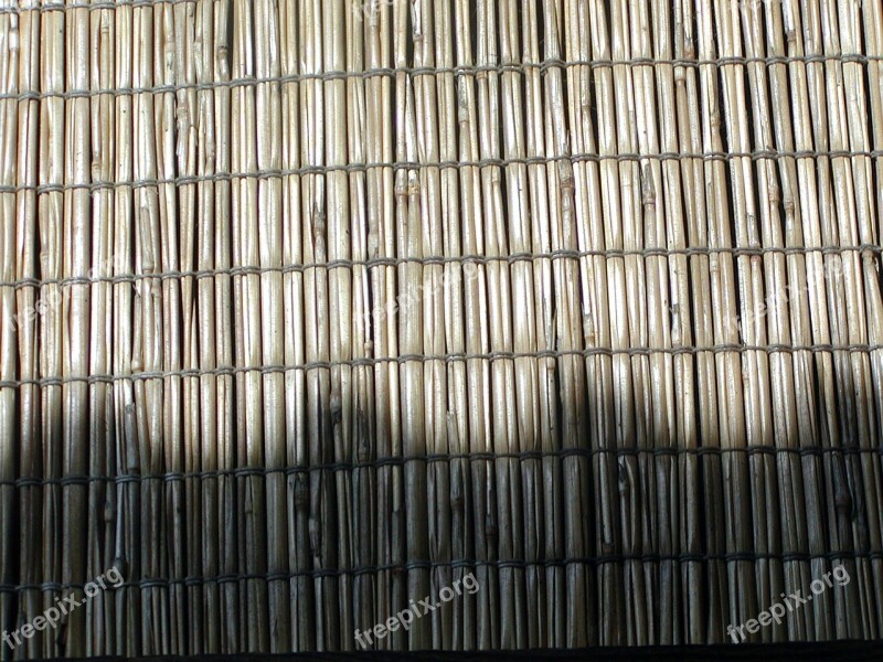 Reed Wall Sun Shadow Garden