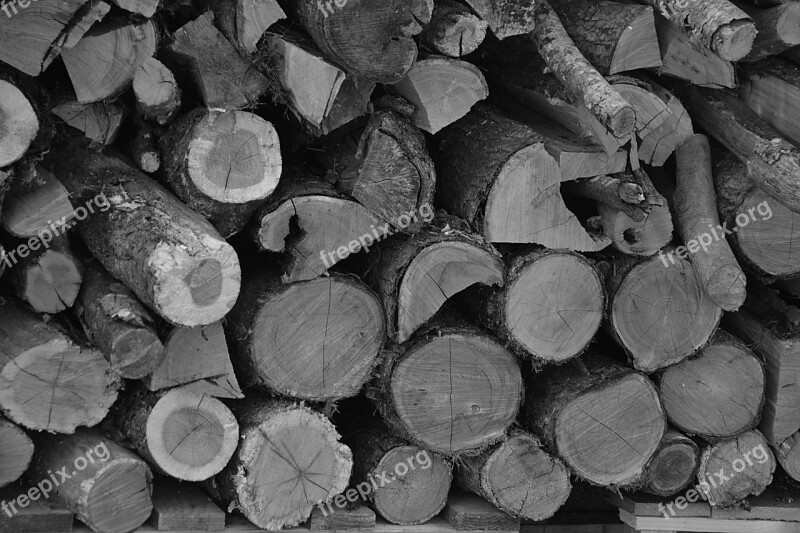 Logs Wood Heating Wood Pile Cup