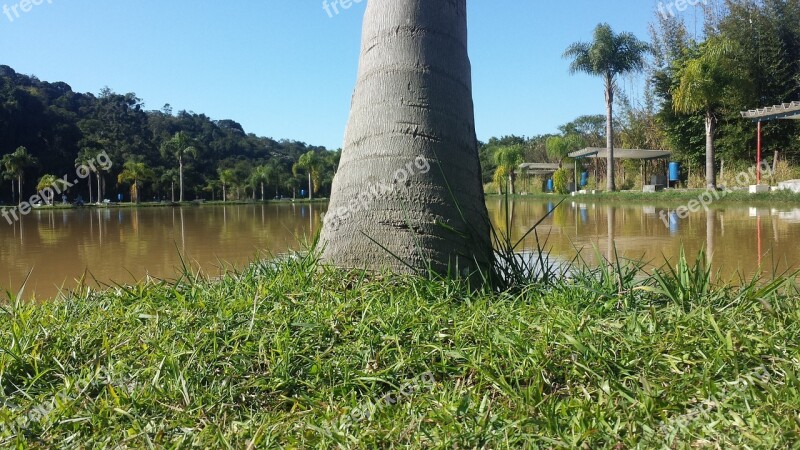 Landscape Peace Fishing Coconut Tree Pond