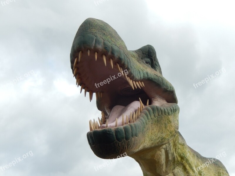 Dinosaur Prehistory Carnivore Free Photos