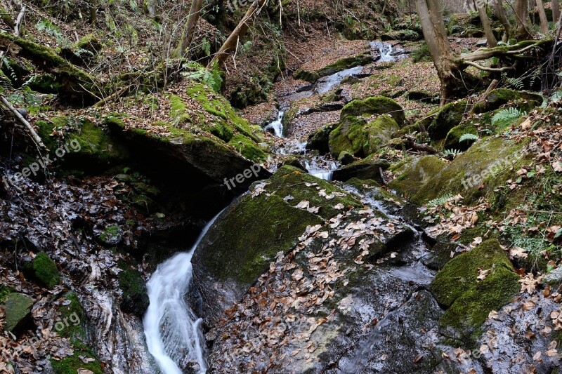 Teigitsch Bach Nature Styria Creek