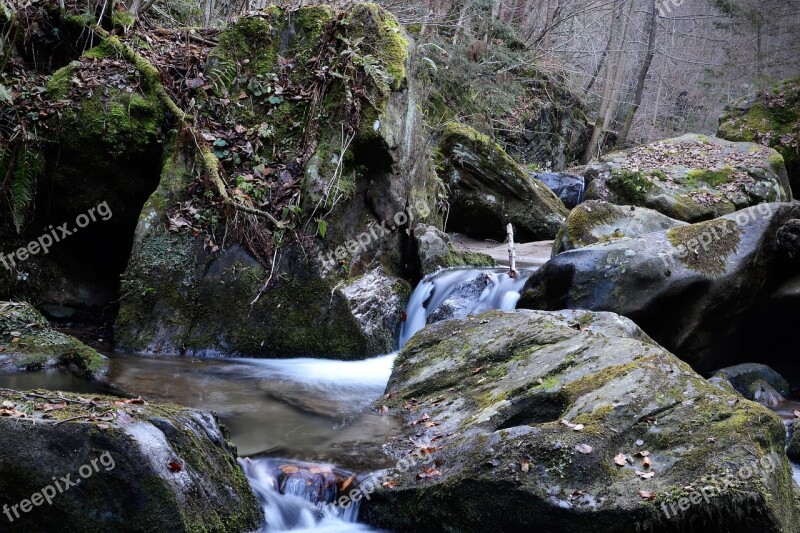 Teigitsch Bach Nature Styria Creek