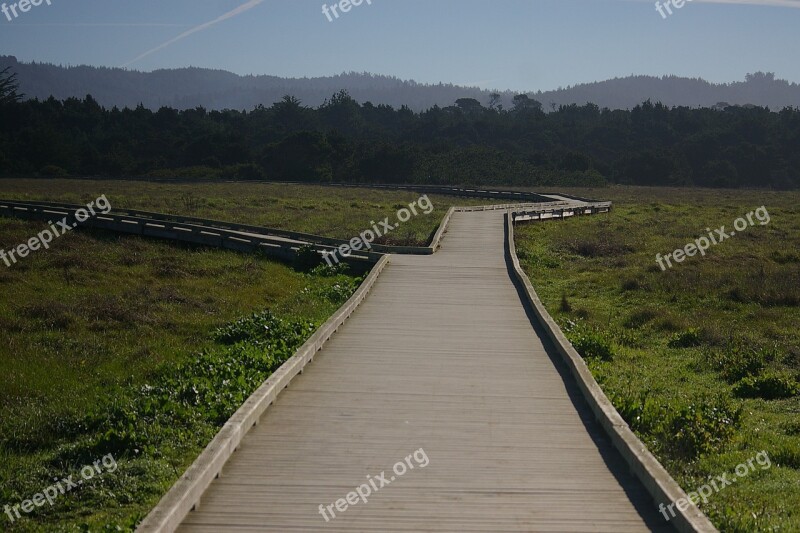 Mackerricher State Park California Boardwalk Fort Bragg Coast