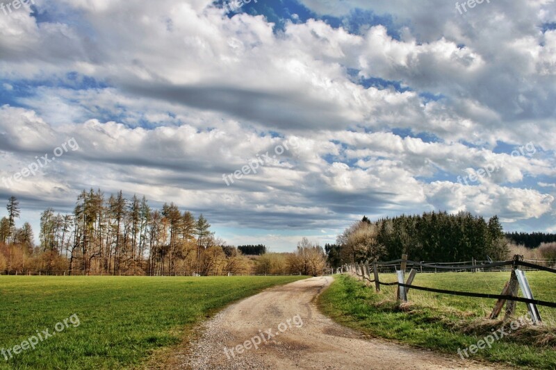 Landscape Forest Away Trees Fence