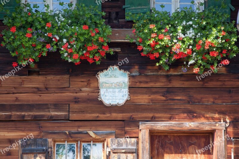 Alm Shield Flowers Flower Boxes Culture