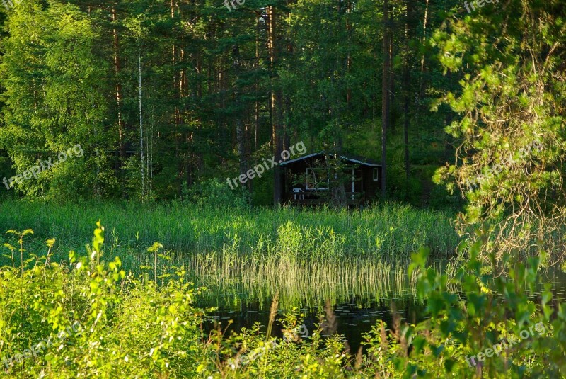 Finland Lake Reeds Forest Chalet