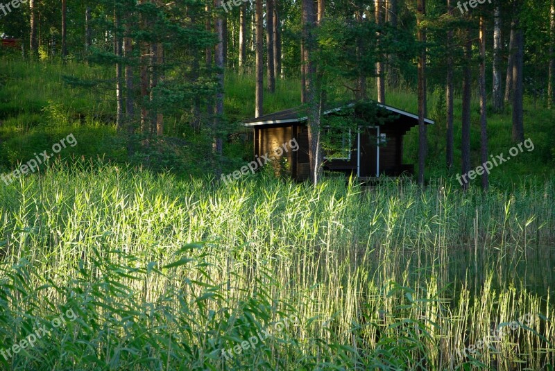 Finland Wooden Chalet Reeds Forest Lake Free Photos