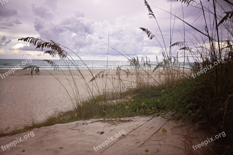 Dune Sand Beach Ocean Sea